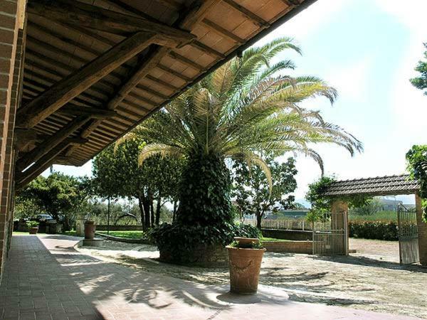 Agriturismo Villa Isa 福洛尼卡 外观 照片