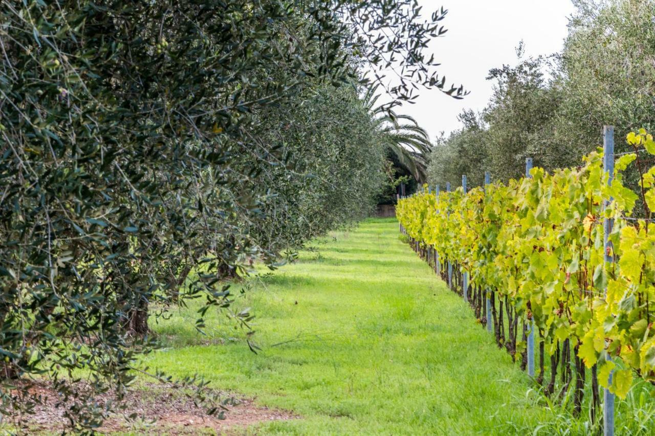 Agriturismo Villa Isa 福洛尼卡 外观 照片